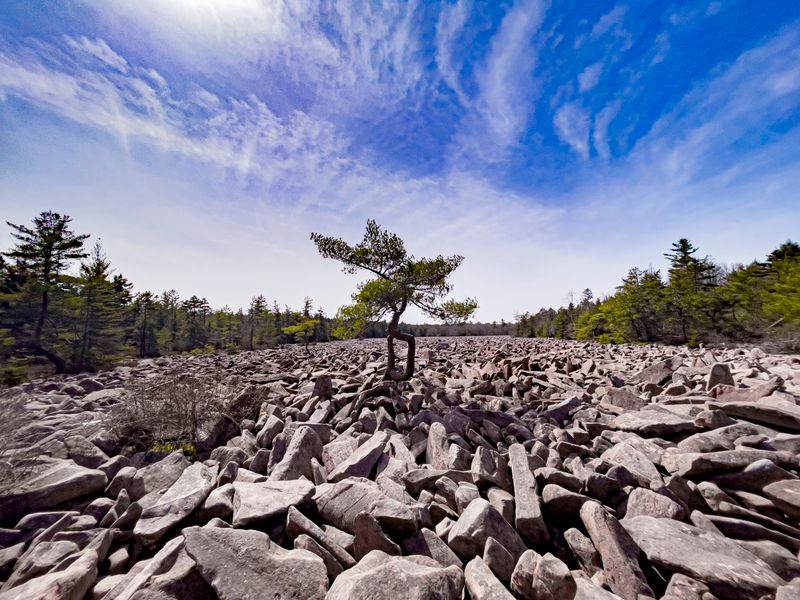 Boulder Field Trail, Hickory Run State Park