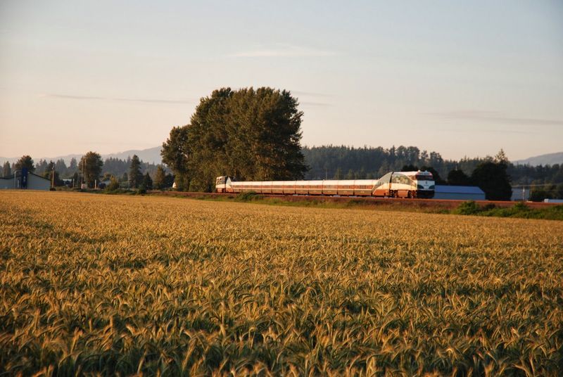 Bow And Edison, Washington Bow And Edison, Washington