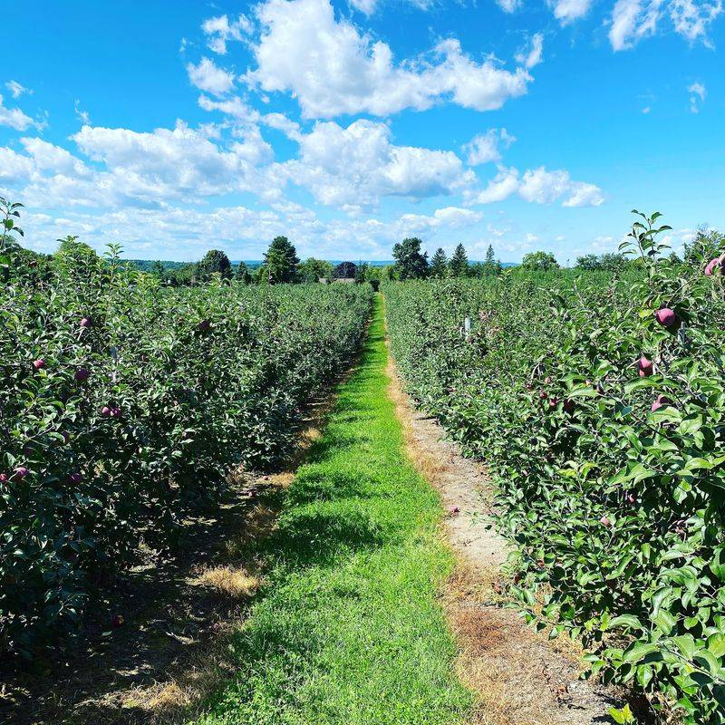 Bowman Orchards Bowman Orchards