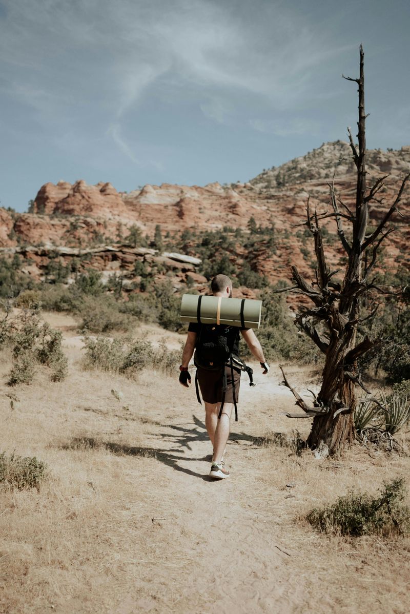 Lost Dog Trail, Sedona