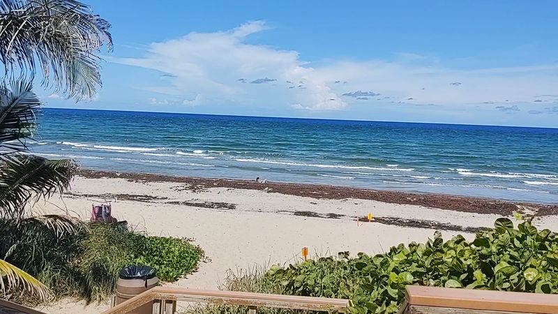 Why These Waters Are So Remarkably Clear