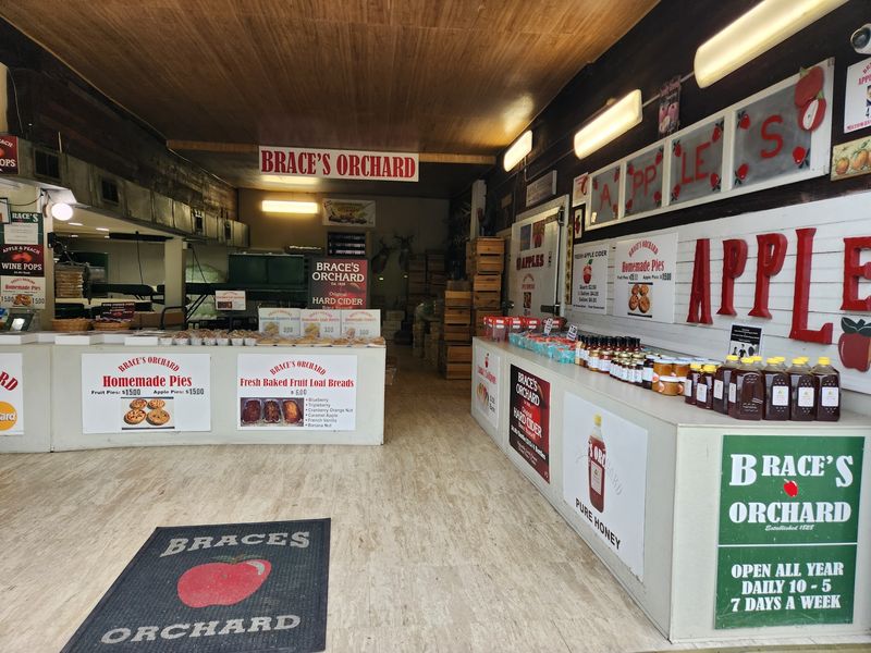 Brace's Orchard, Dallas