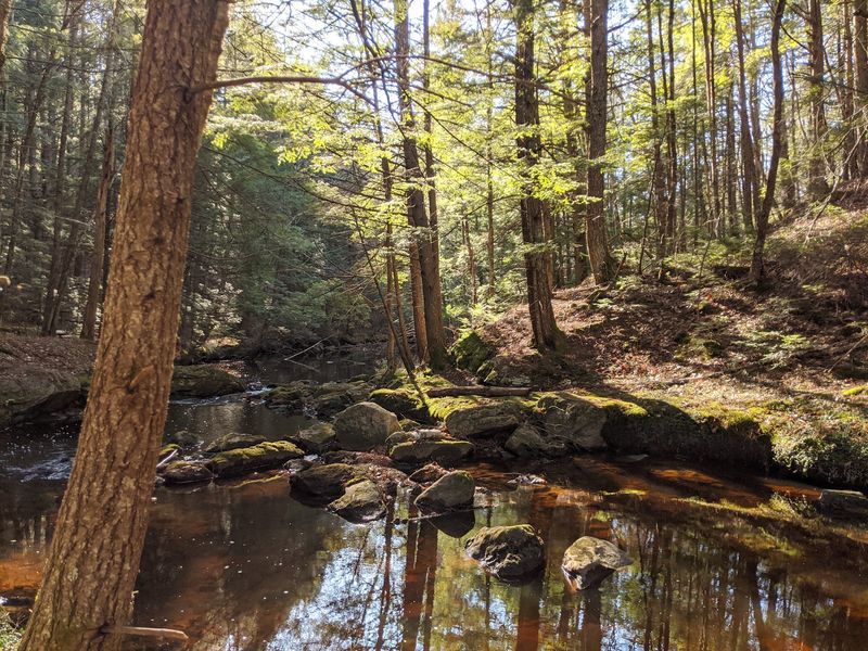 Bradbury Mountain State Park, Pownal