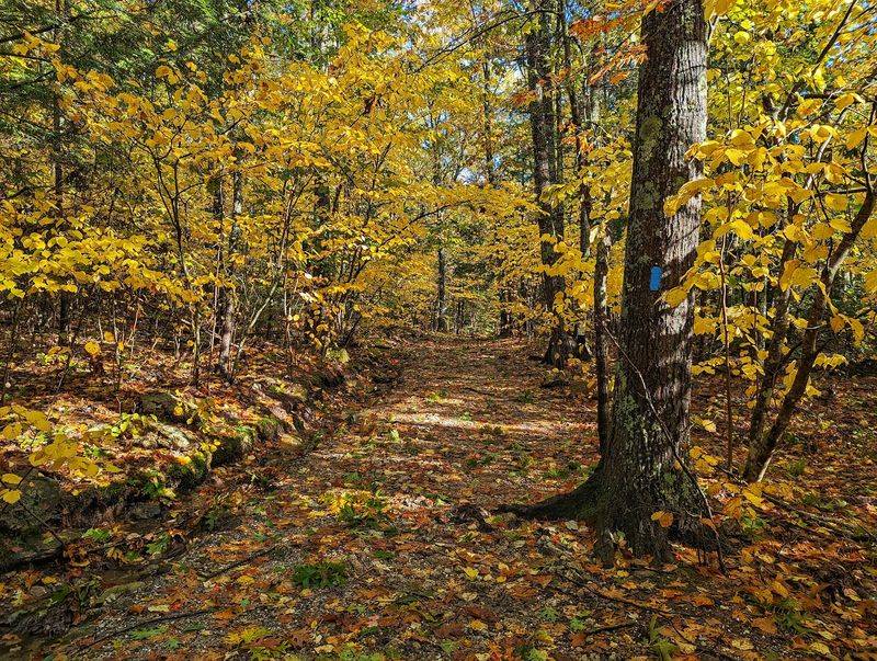 Bradbury Mountain State Park, Pownal