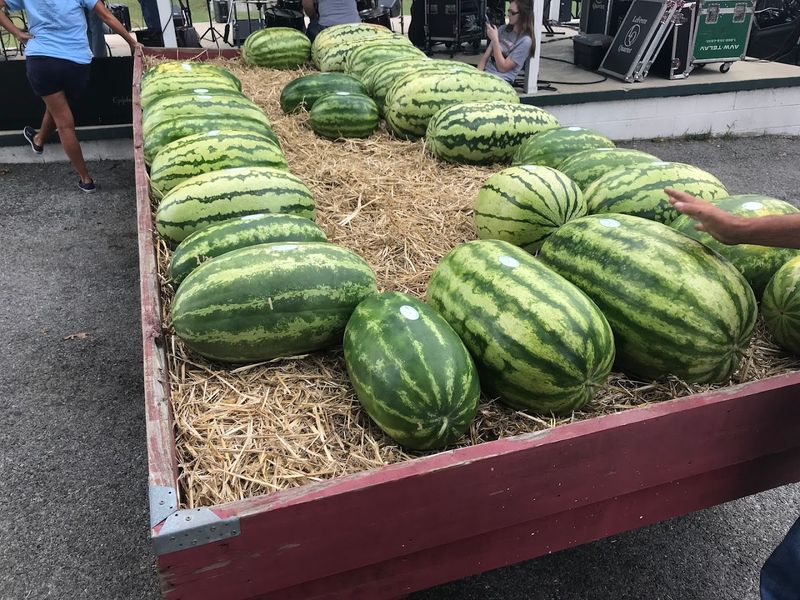 Cave City Watermelon Festival, Cave City