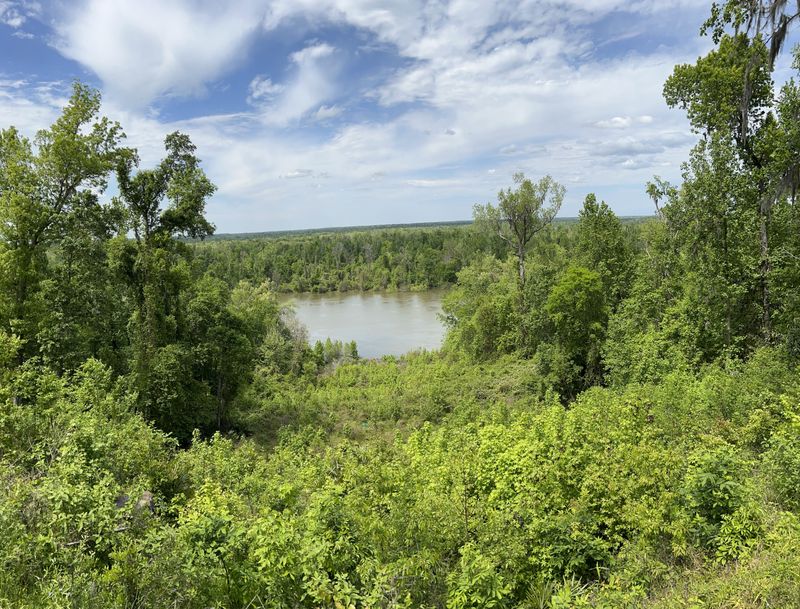 Torreya State Park — Bristol