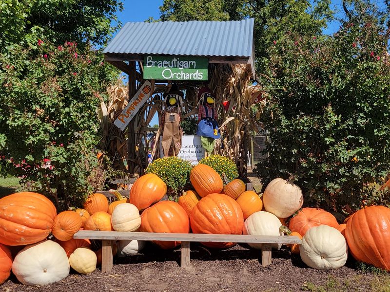 Braeutigam Orchards, Belleville, IL