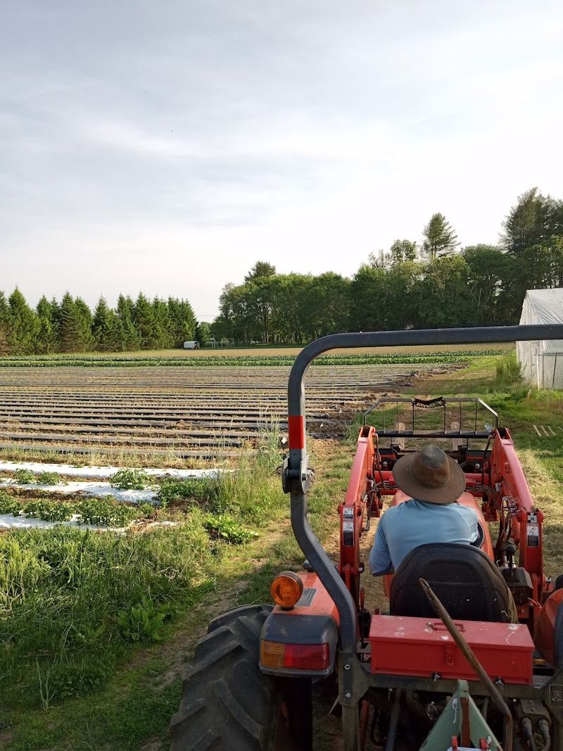 Brandon Family Farm