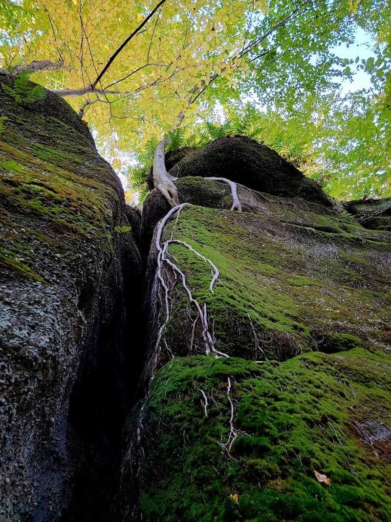 Nelson-Kennedy Ledges State Park, Garrettsville, Ohio