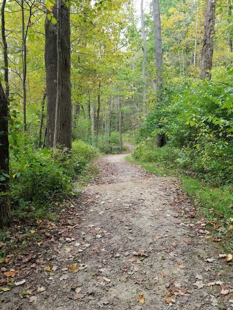 Buttermilk Falls Trail, North Chagrin Reservation, Mayfield Village, OH