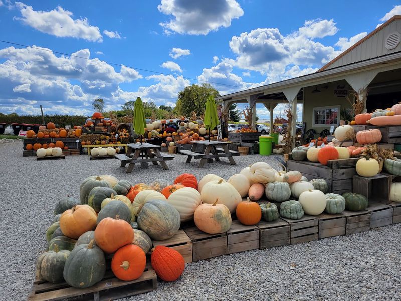 Branstool Orchards, Utica