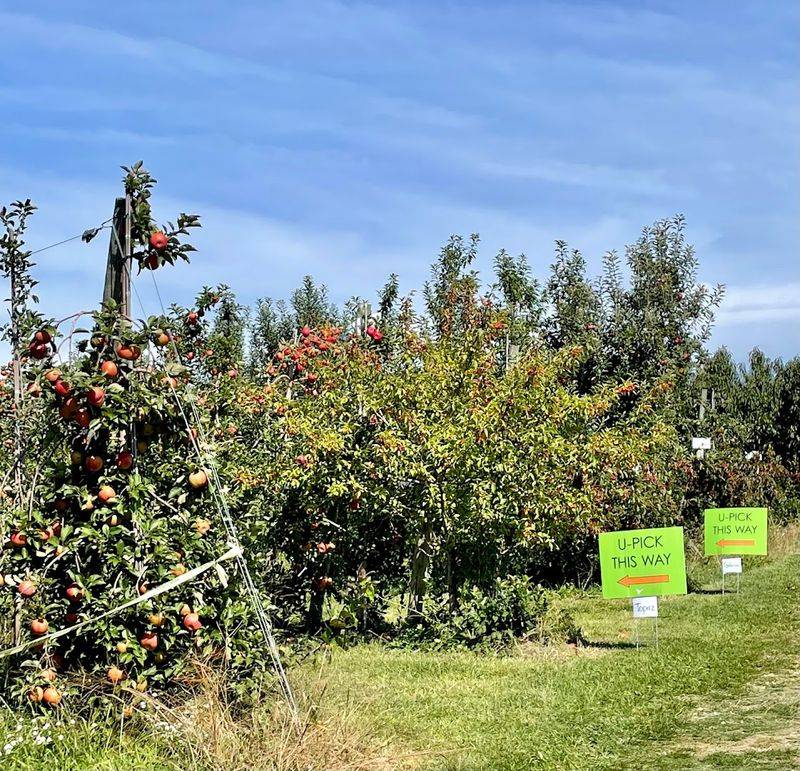 Branstool Orchards and Farm Market, Utica Branstool Orchards and Farm Market, Utica