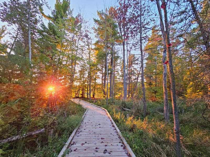 Timbers Recreation Area, Traverse City