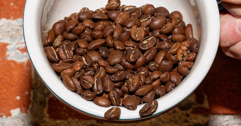 Coffee: Your Morning Cup Of Liquid Gold