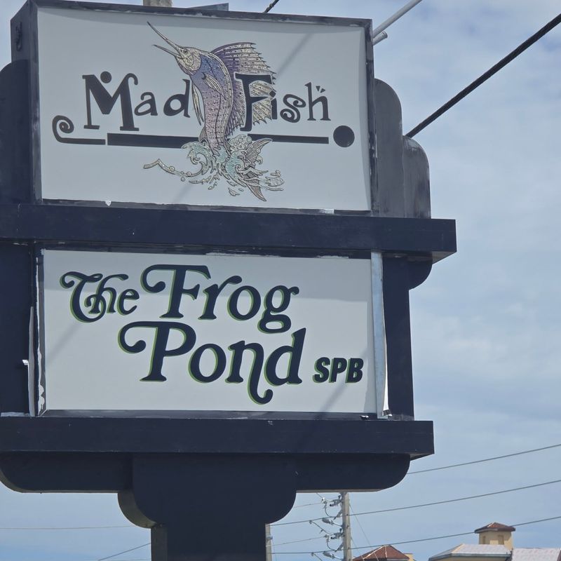 Frog Pond SPB – St. Pete Beach