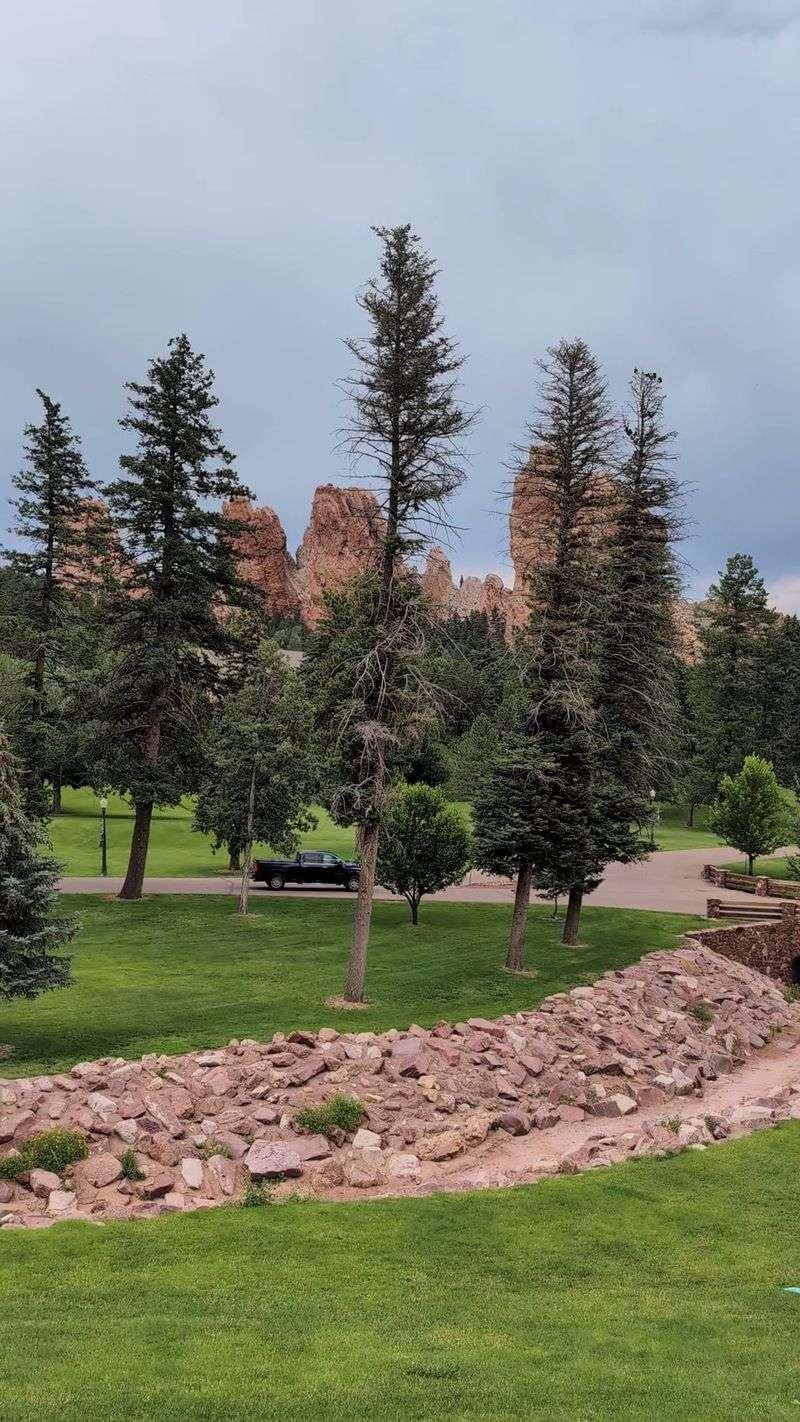 Wildlife Encounters on Castle Grounds