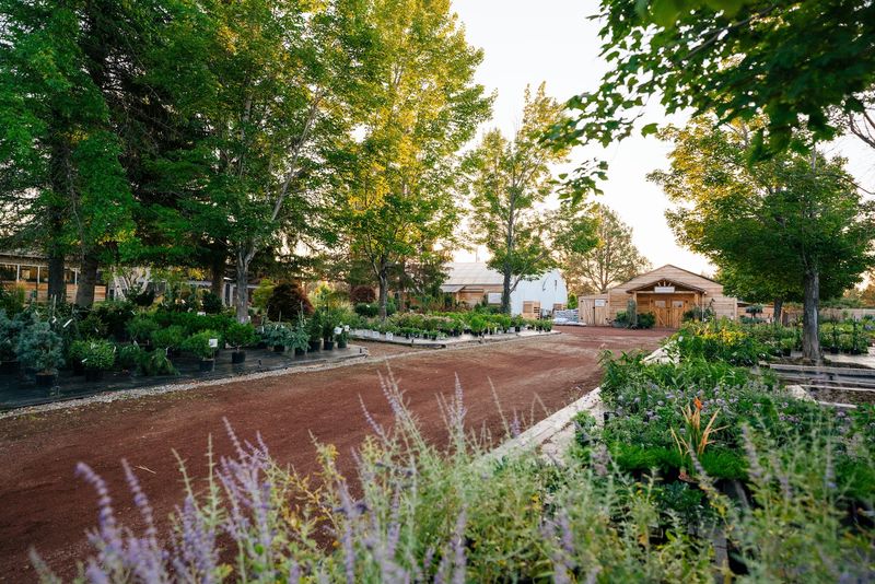 Breathtaking Views And Landscaping That Belong In A Magazine Breathtaking Views And Landscaping That Belong In A Magazine