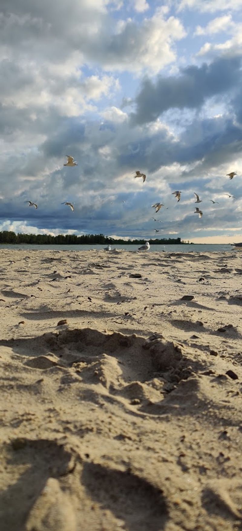 Breezy Outdoor Activities Thrive Around The Peninsula