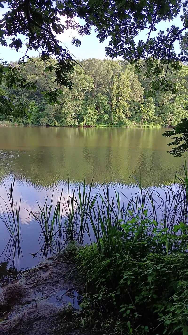 Hillsboro Lake And The Soft Splash Of Summer