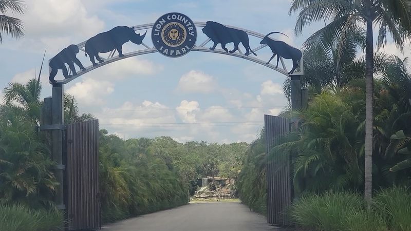 Lion Country Safari, Loxahatchee