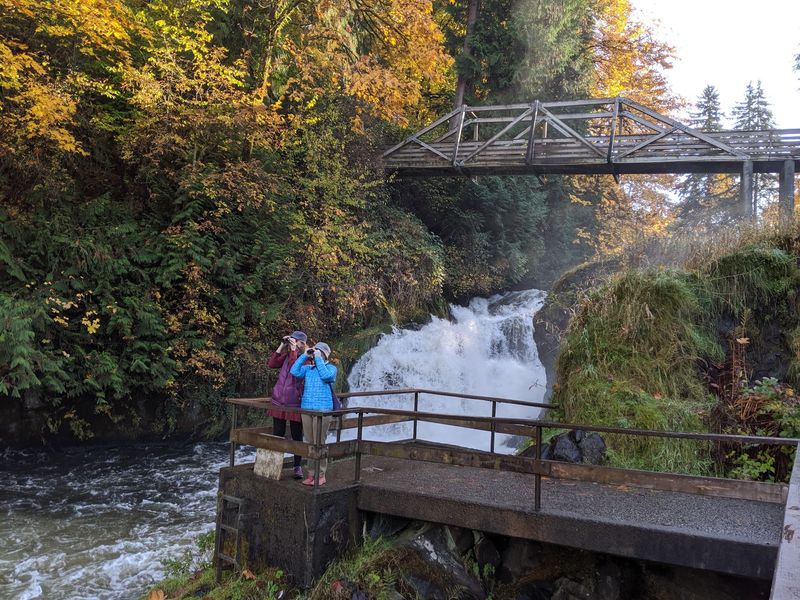 Brewery Park At Tumwater Falls, Tumwater Brewery Park At Tumwater Falls, Tumwater