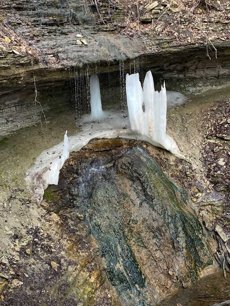 Bridal Veil Falls, Dressed For The Season Bridal Veil Falls, Dressed For The Season