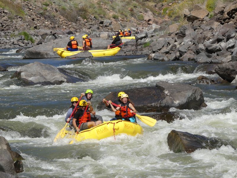 Wildlife Watching From Your Seat