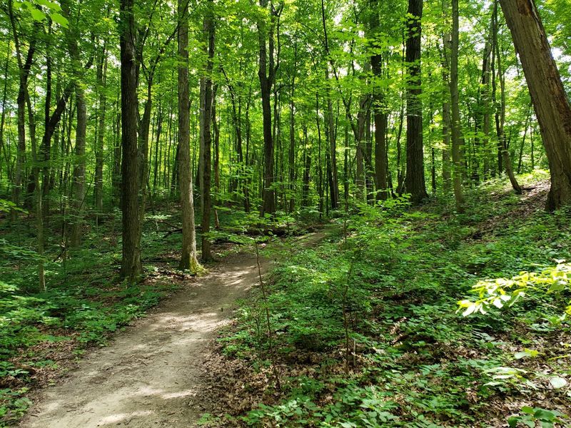 Brighton Recreation Area Equestrian Trail