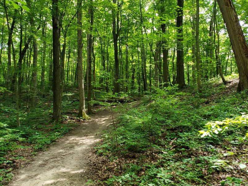 Brighton Recreation Area - Howell