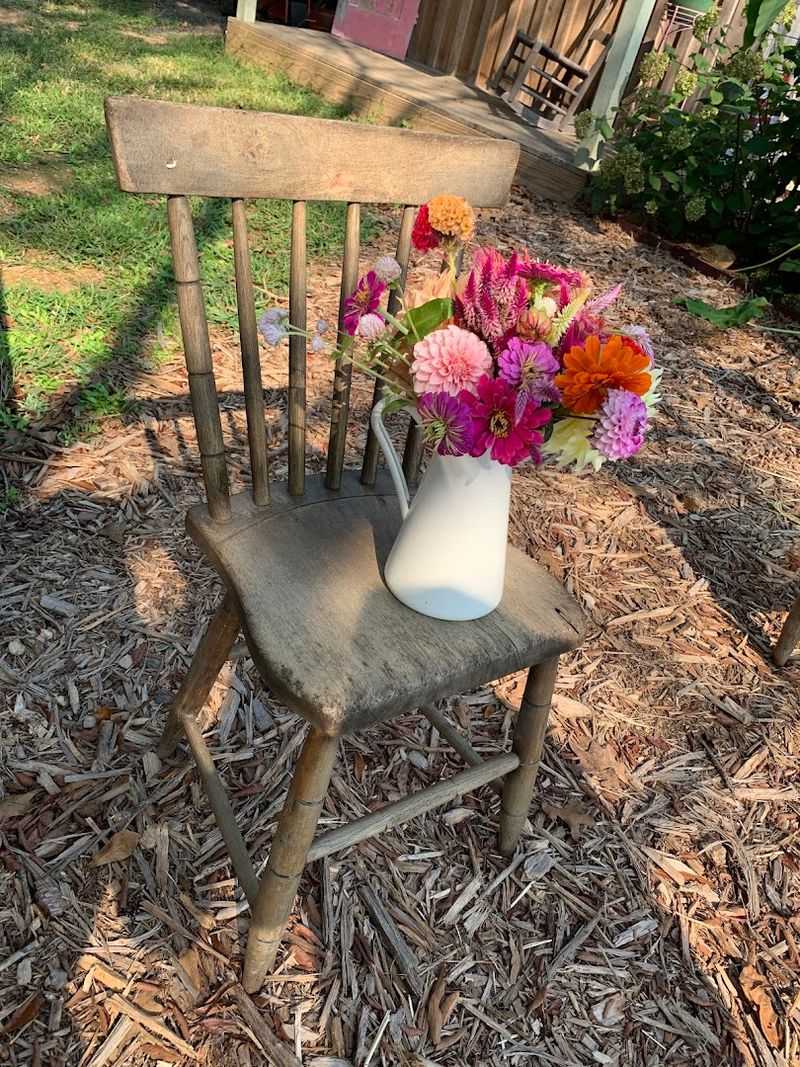 Check For Any Admission Fees Or Reservation Requirements