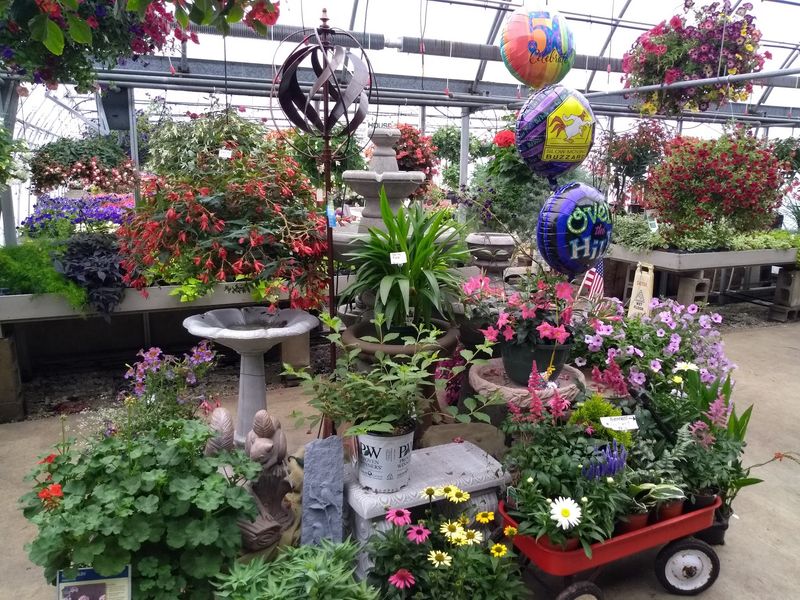 Bring A Container For Custom Planting