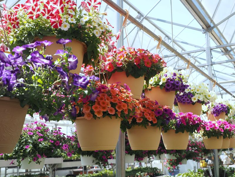 Bring A Container For Planting