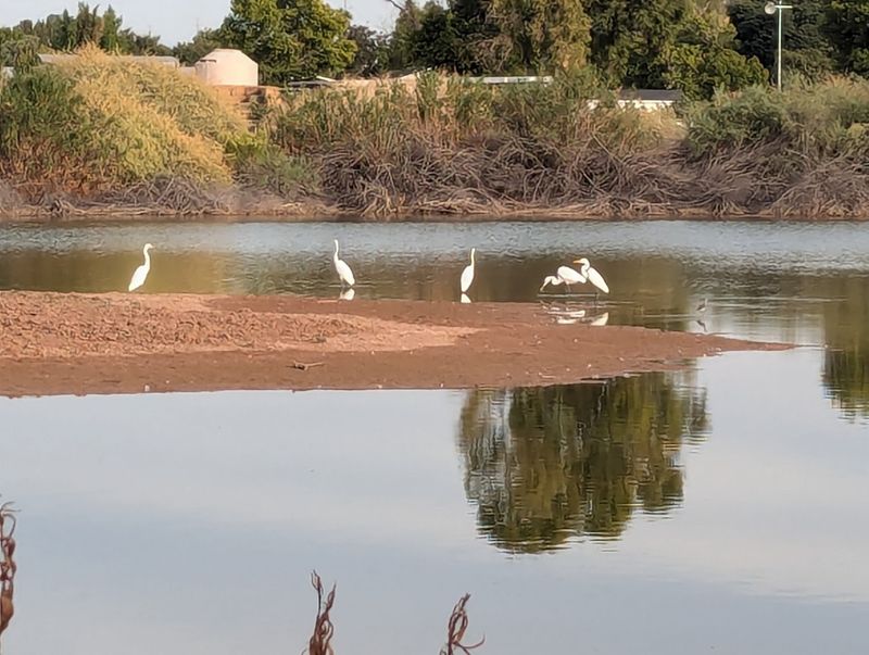 Bring Binoculars Because The Bird List Is Huge Bring Binoculars Because The Bird List Is Huge
