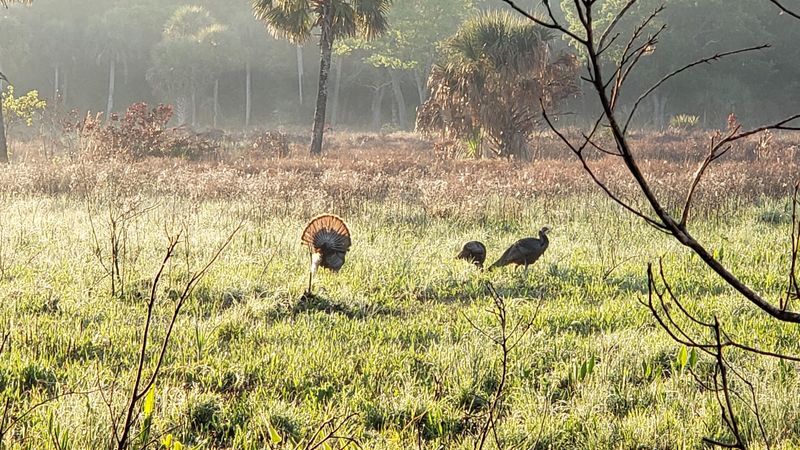 Bring Binoculars, Because The Rare Birds Show Up Here Bring Binoculars, Because The Rare Birds Show Up Here