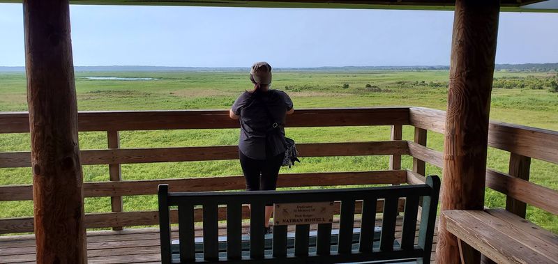 Bring Binoculars For Distant Views