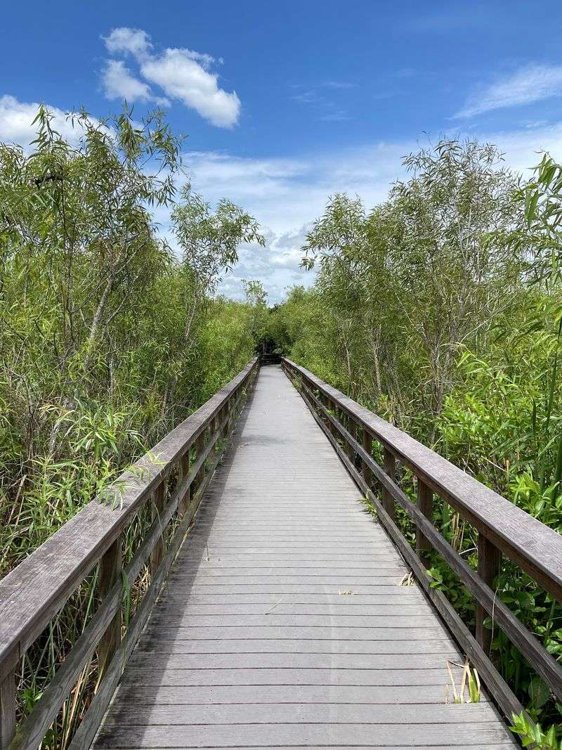 Bring Bug Spray, A Hat, And Sunscreen Bring Bug Spray, A Hat, And Sunscreen