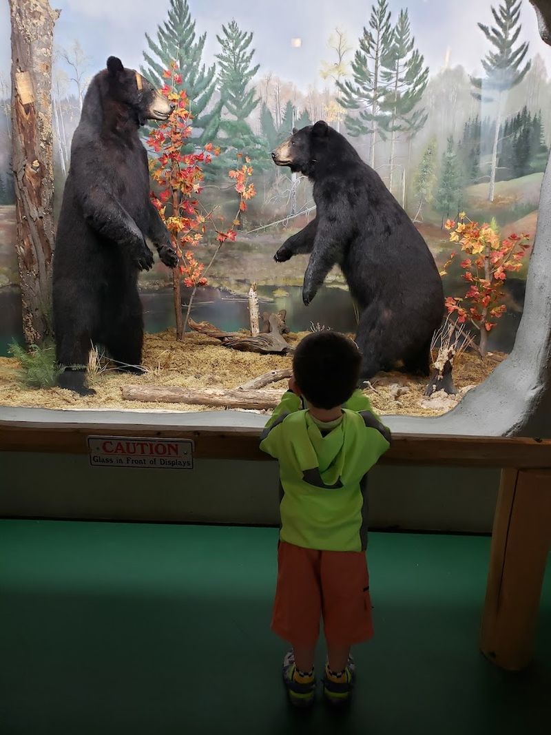 Bring Kids Straight To The Hands On Spaces