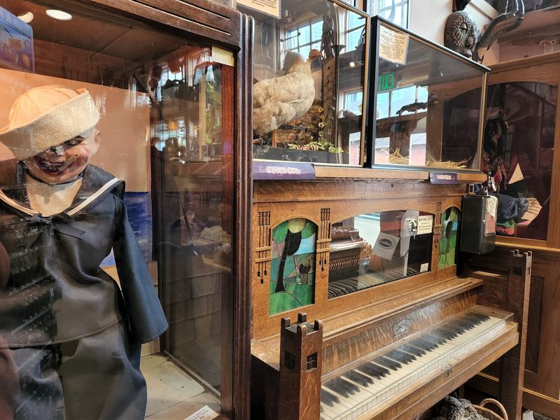 Bring Quarters For The Fortune Tellers And Player Pianos