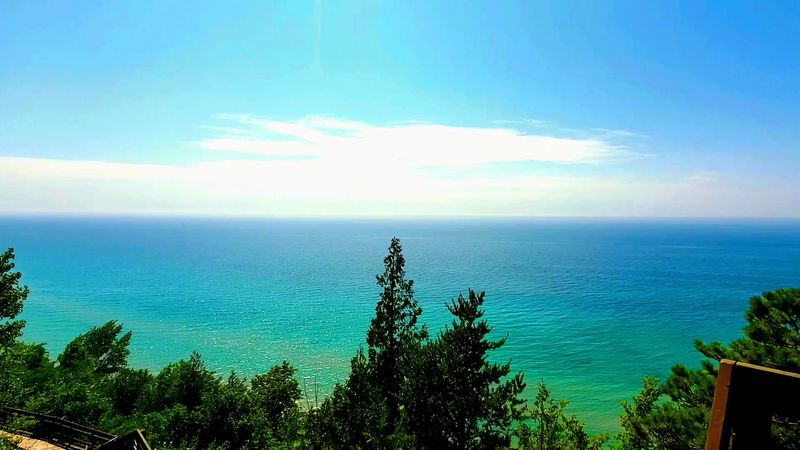 Pack A Picnic That Can Handle Wind