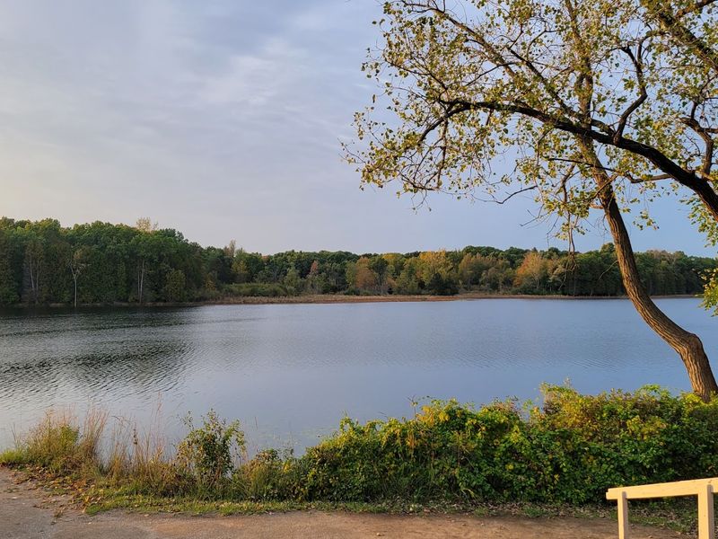 Fish From One Of The Docks On Crooked Lake