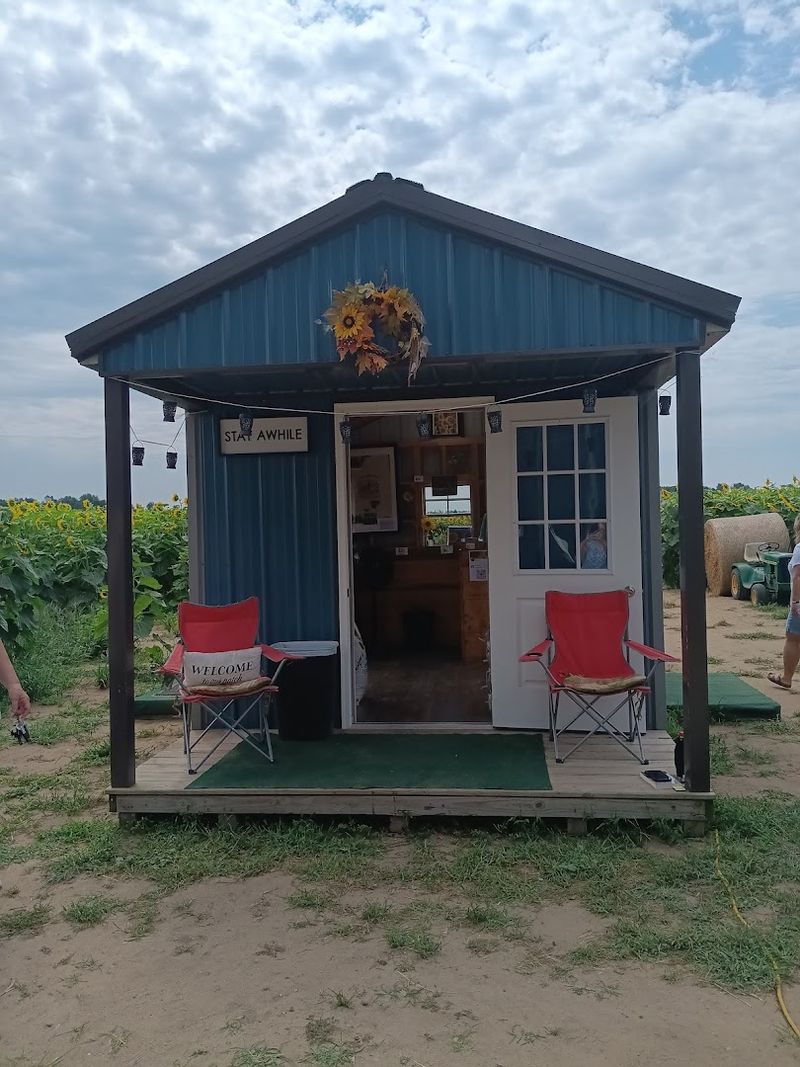 Bring The Right Payment To The Sunflower Shed Bring The Right Payment To The Sunflower Shed