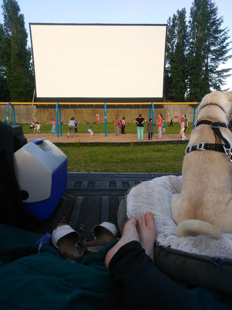 Bring the Whole Family, Even the Dog