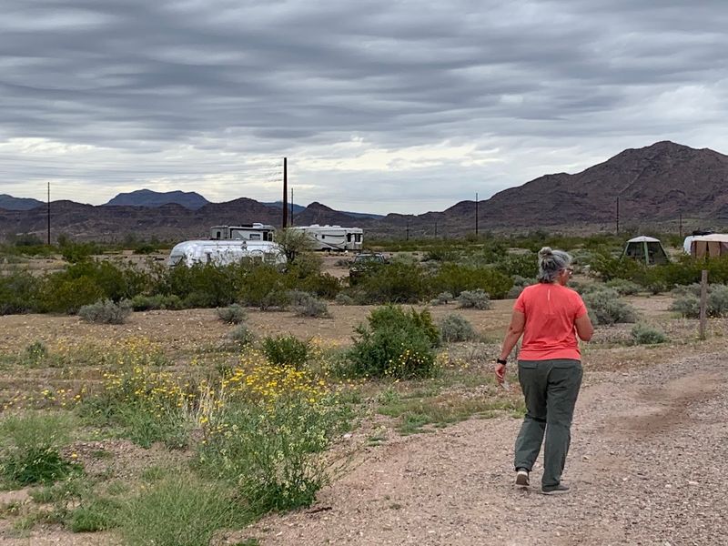 Bringing Kids Along For An Educational Desert Day