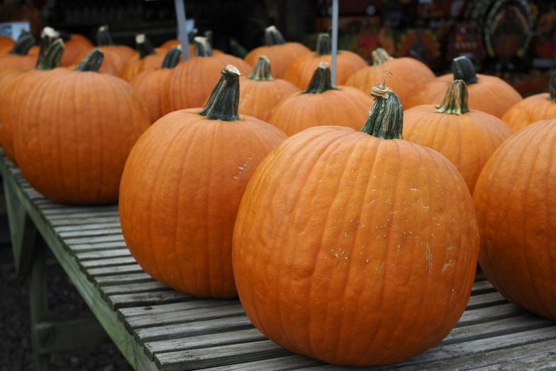 West Chester Growers Market