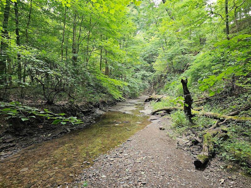 Nature Trails and the Welsh Hills Surrounding the Village