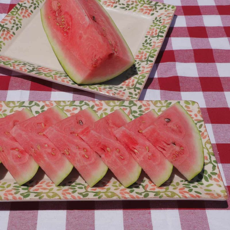 Watermelon Wedges