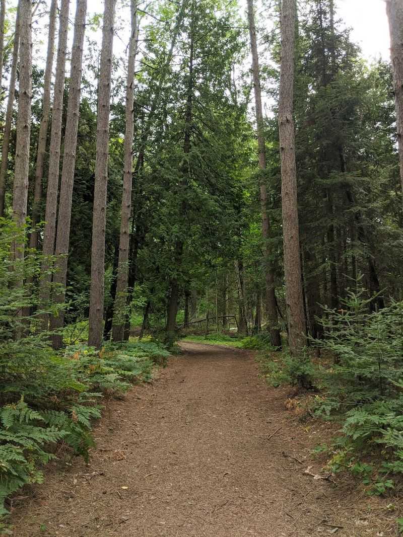 M-35 Along The Upper Peninsula Hidden Coast