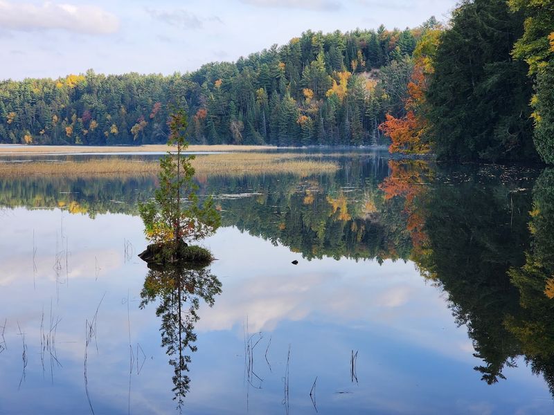 Iargo Springs, Oscoda