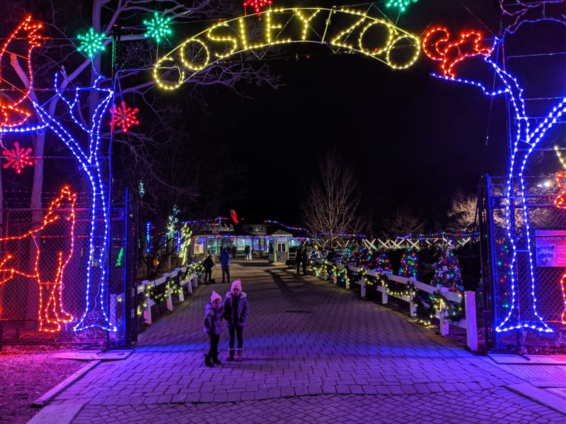 Wheaton - Cosley Zoo Festival of Lights