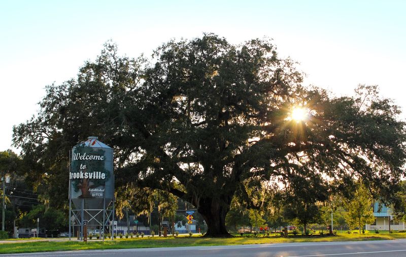 Brooksville